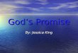 God’S Promise