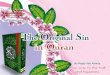 The original sin in Islam
