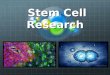 Jasmine stem cells research