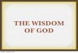 Evans, Our God is Awesome: God's wisdom