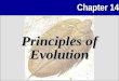 Principles Evolution APBioCh13-14