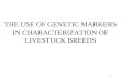 Genetic markers in characterization2