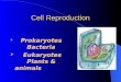 Cell cycle reproduction lecture with turning point