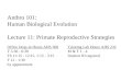Lavc f10 lecture 11   primate reproductive strategies