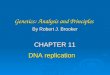 Dna replication and pcr