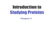 Biotechnology Chapter Five Lecture- Proteins (part a)