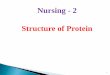 Lec 2  level 3-nu(structure of protein)