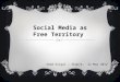 Sead Dzigal - Social Media as Free Territory