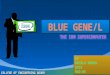 BLUE GENE/L
