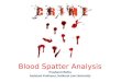 Blood Spatters Analysis