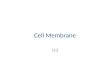 IS3 Cell Membrane and Transport