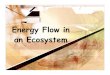 Food Energy Through Ecosystems