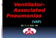 Ventilator associated pneumonias