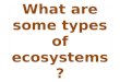 What are some types of ecosystems