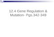 Chapter 12.4 gene regulation & mutation