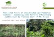 Medicinal Trees in Smallholder Agroforestry Systems by Jonathan Muriuki  25 january 2011