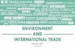 International Trade and Environment