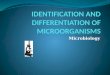 Identification And Differentiation Of Microorganisms