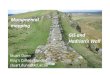 Monumental mapping: GIS and Hadrian’s Wall