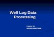 Well log data processing