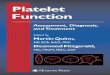 3979683 platelet-function-assessment-diagnosis-and-treatment