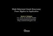 Multi-Relational Graph Structures: From Algebra to Application