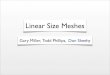 Linear Size Meshes