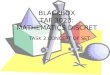 Blackbox task 2