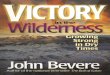 Victory in the Wilderness - John Bevere