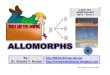Allomorphs - Dr. Shadia Yousef Banjar