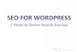 7 Steps to SEO Success on Wordpress