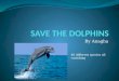 Save the Dolphins!! by Anagha