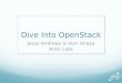 Baylisa - Dive Into OpenStack