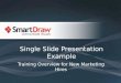 Single Slide Presentation Example: Training Overview for New Marketing Hires