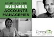 Green Flag Businessaccountsmanagement2