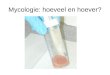 Mycologie: hoeveel en hoever?. Mycologie: “the face behind the sample”