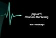 Jaguar’s Channel Marketing Wim Verbeurgt.  Jaguar  Block Exemption  Jaguar’s Channel Marketing  kanaalstructuur  aantal dealers  contract / standaarden