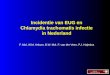 F. Mol, W.M. Ankum, B.W. Mol, F. van der Veen, P.J. Hajenius Incidentie van EUG en Chlamydia trachomatis infectie in Nederland
