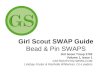 GS SWAP Guide Safety Pin SWAPs