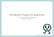 Wordpress Plugins for Beginners
