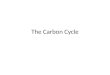 Carbon cycle ppt