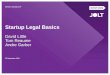 Startup Legal Basics