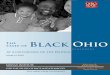 “Health and Healthcare in Ohio’s African American community- State of Black Ohio 2010