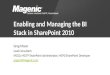 Enabling and Managing the BI Stack in SharePoint 2010
