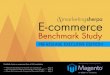 E-commerce Benchmark Study: Pre-Released Edition