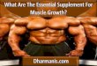 What Are The Essential Supplement For Muscle Growth?