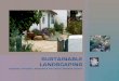 Santa Barbarba Sustainable Landscaping Manual