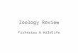 Zoology review 1