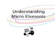 Understanding micro elements power point example