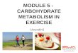 Module 5   mcc sports nutrition credit course- carbohydrate metabolism in exercise